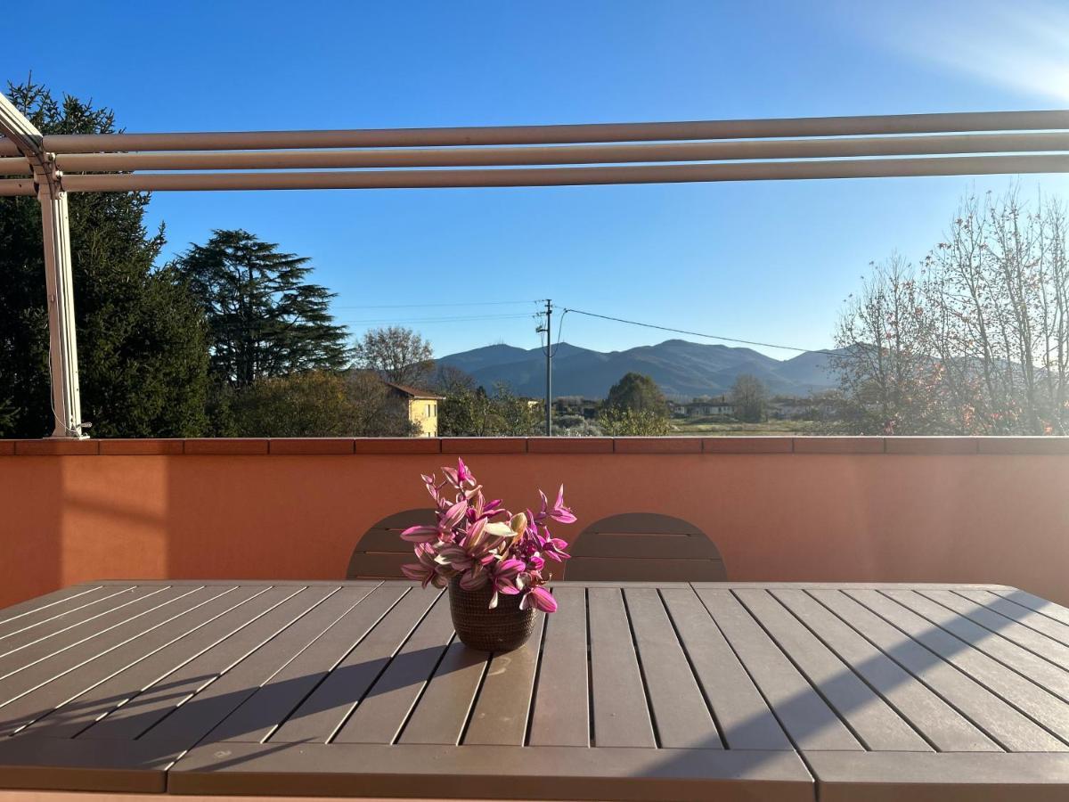 Albi'S House,Terrazza ,Wi-Fi, Parcheggio, Ac Apartment Lucca Exterior photo